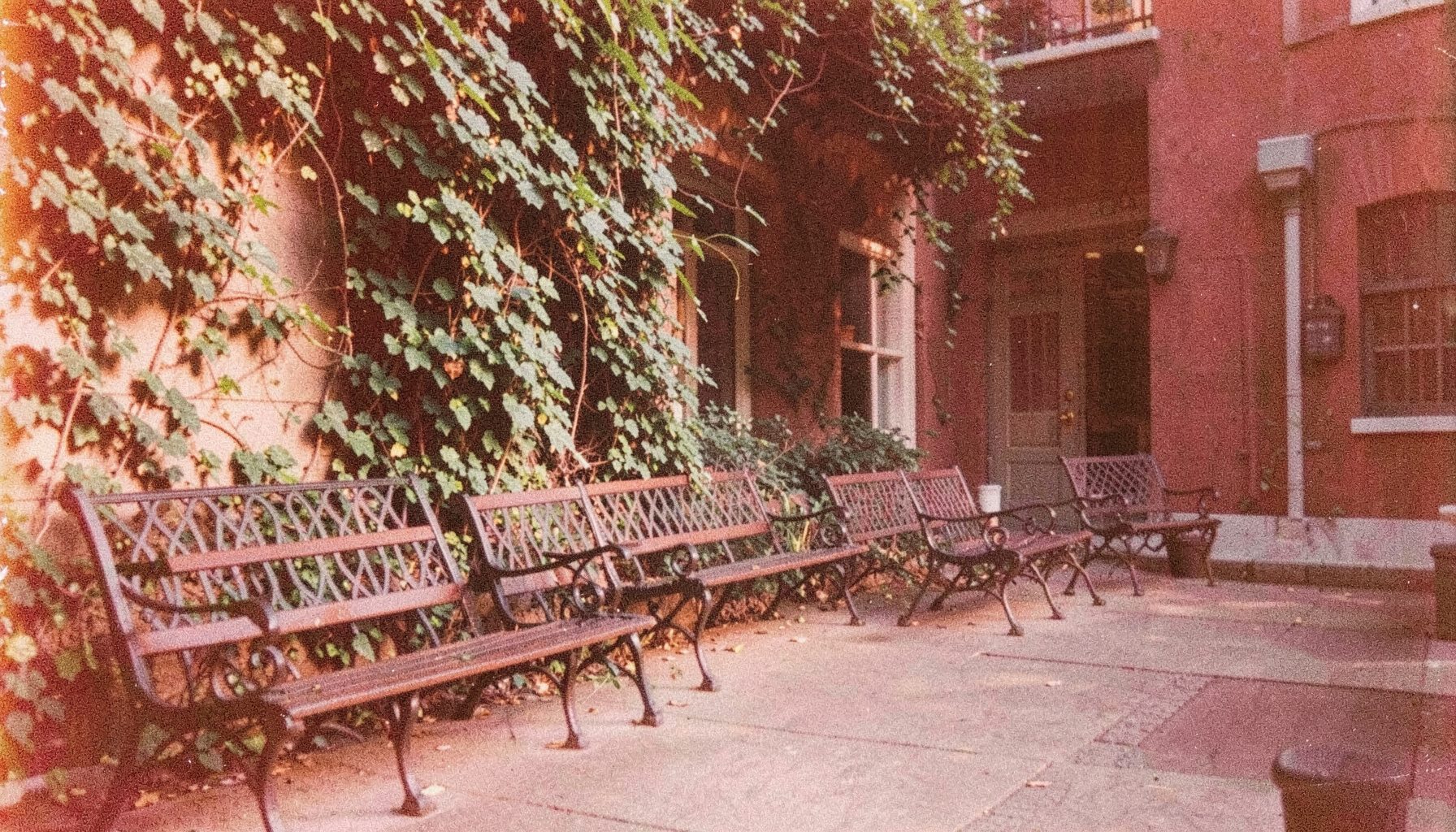 A grainy analog photograph of an outdoor campus seating area with wrought-iron benches, climbing ivy, and warm late-afternoon light