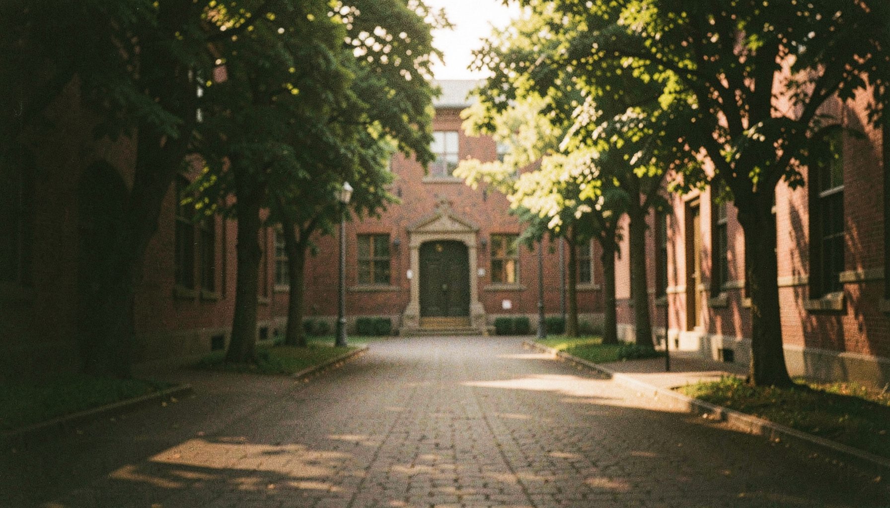 A warm atmospheric photograph with visible film grain, showing a soft-focus academic courtyard in late afternoon light with terracotta pathways and deep green foliage.