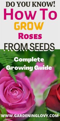  RHS The Rose: A Complete Guide to Growing and Enjoying Roses - A Botanical Symphony for Your Senses!